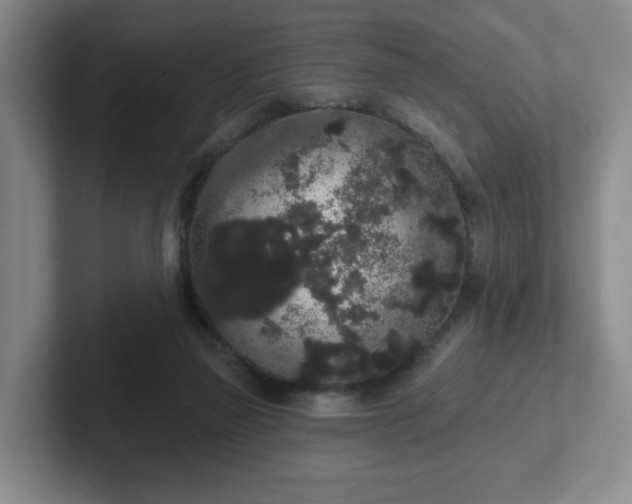 X0000102530165200808151603