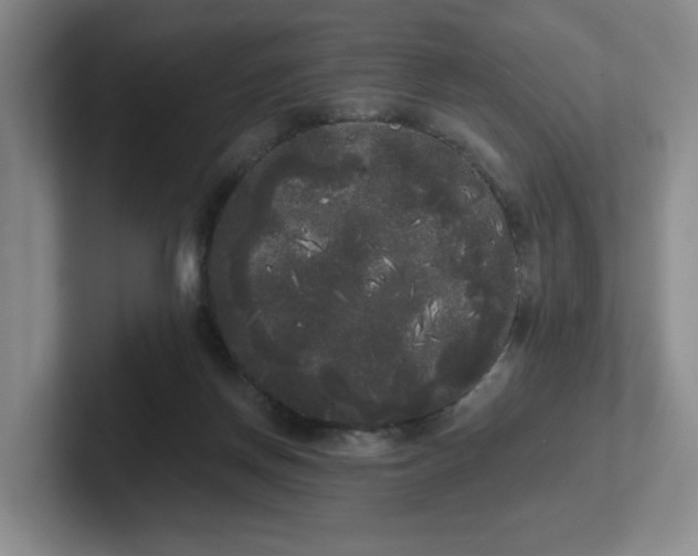 X0000102530166200808151603