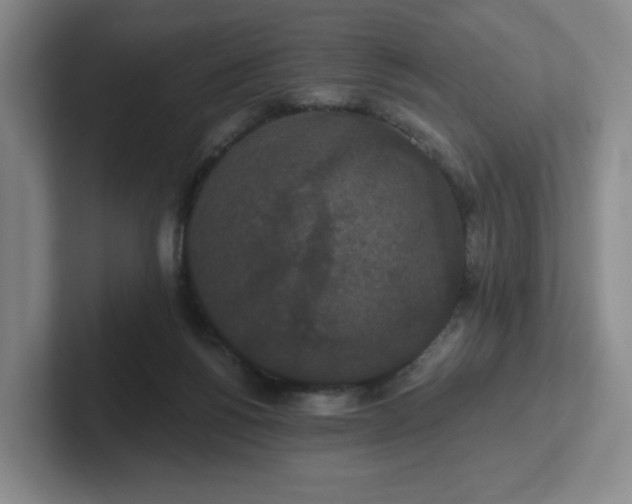 X0000102530168200808151603