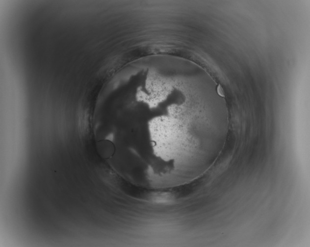 X0000102530169200808151603