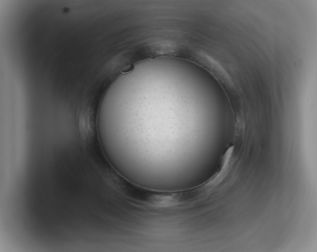 X0000102530170200808151603