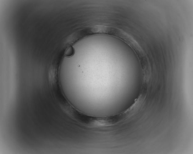 X0000102530171200808151603