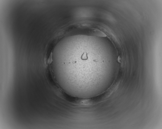 X0000102530173200808151603