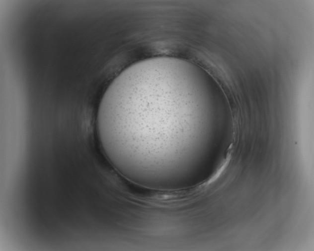 X0000102530174200808151603