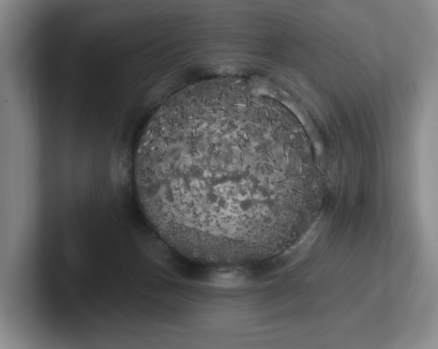 X0000102530175200808151603