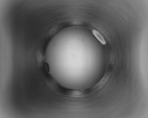 X0000102530176200808151603