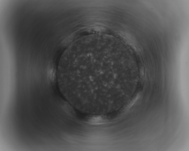 X0000102530177200808151603