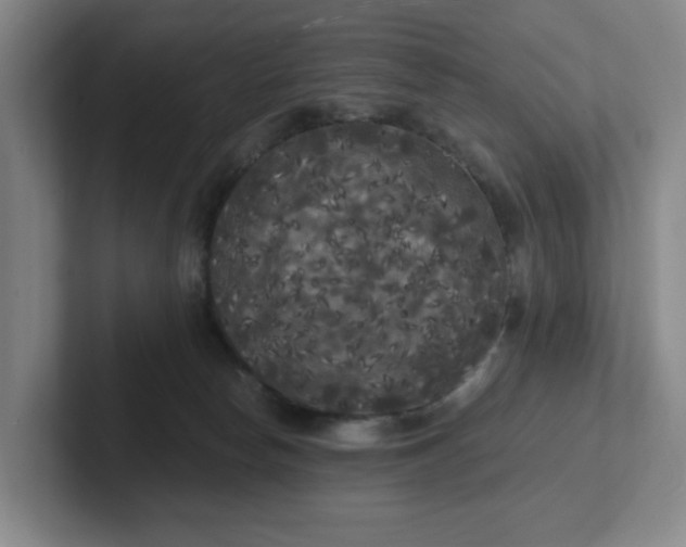 X0000102530178200808151603