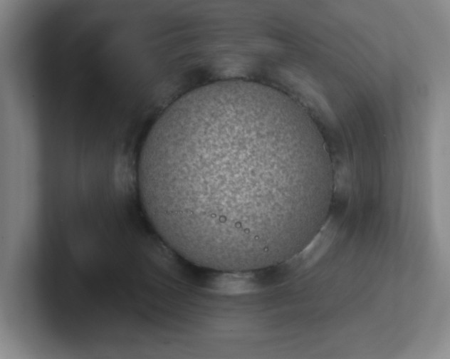 X0000102530179200808151603