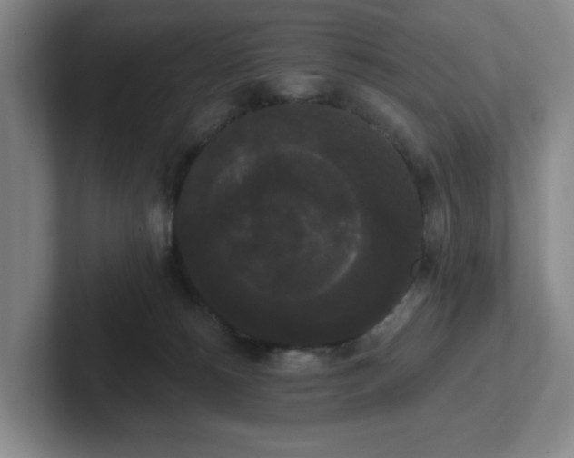 X0000102530180200808151603