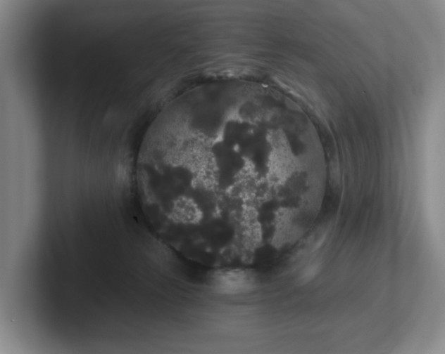 X0000102530181200808151603