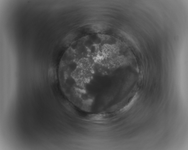 X0000102530182200808151603