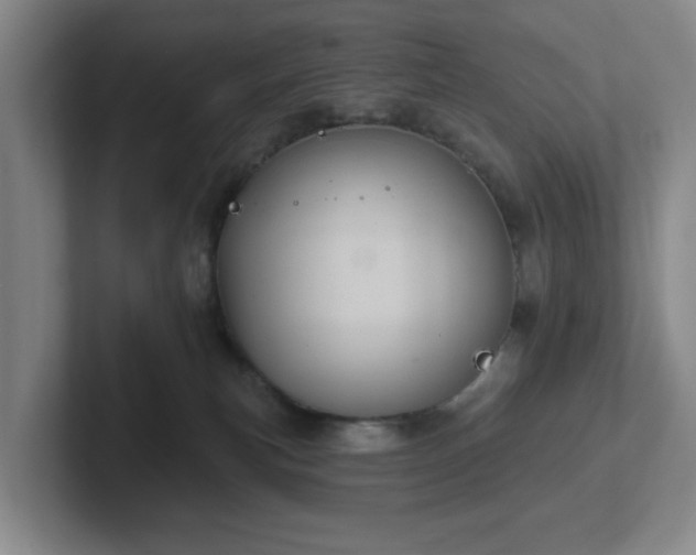 X0000102530183200808151603