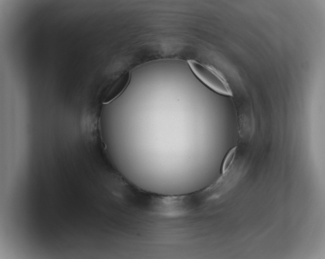 X0000102530184200808151604