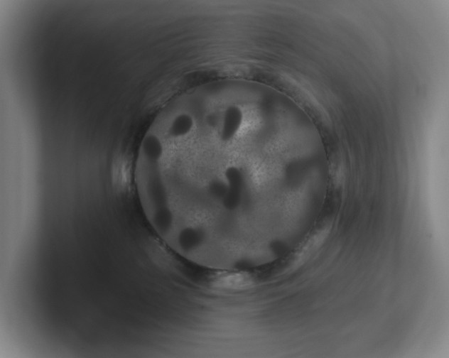 X0000102530185200808151604