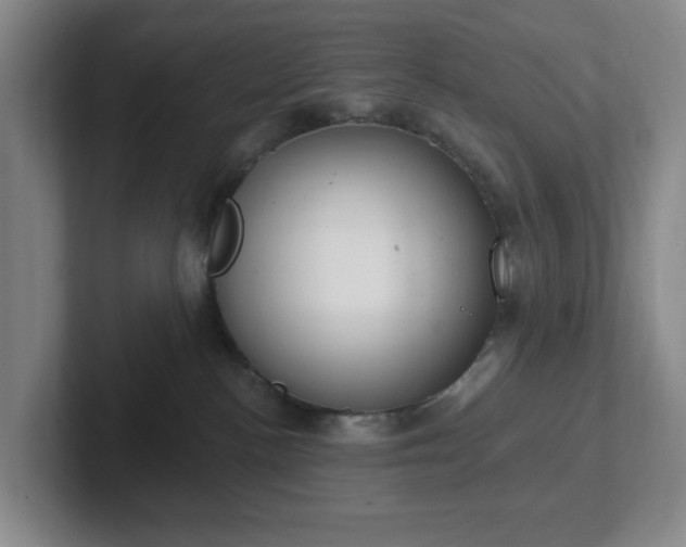 X0000102530188200808151604