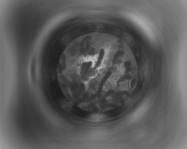 X0000102530189200808151604