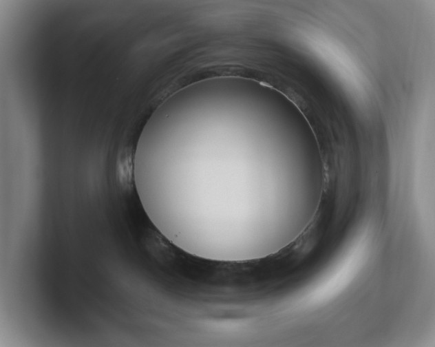 X0000102530190200808151604