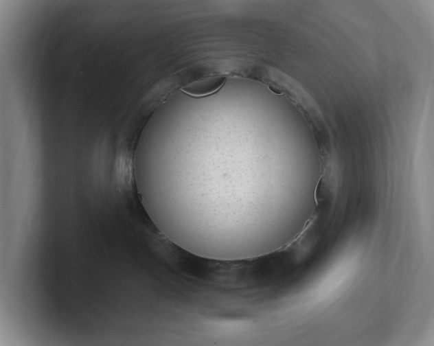 X0000102530191200808151604