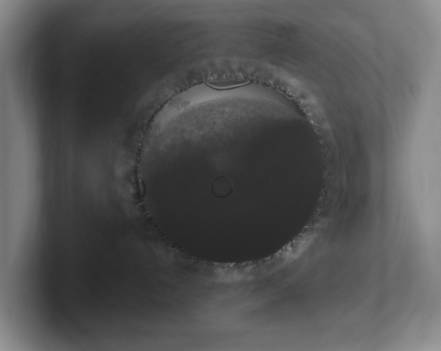 X0000102530192200808151604