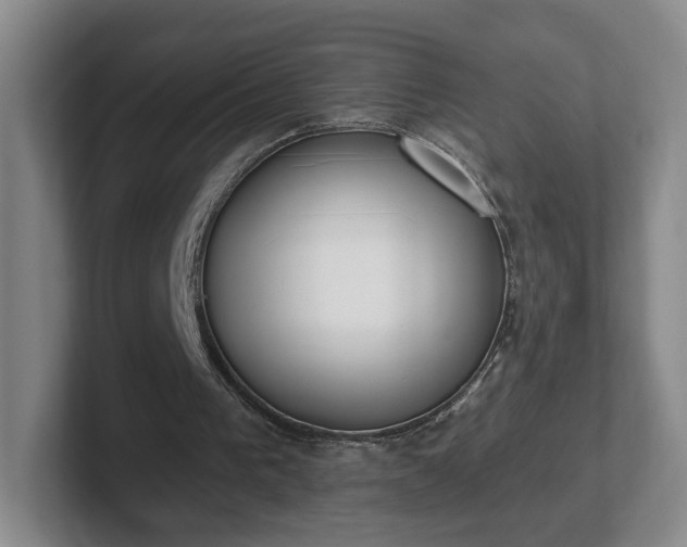 X0000102530193200808151603