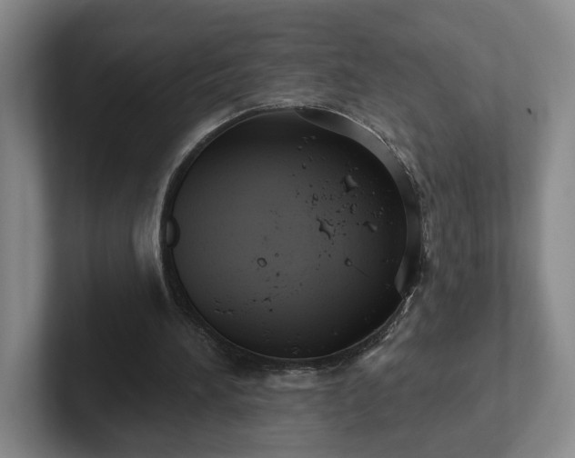 X0000102530196200808151603