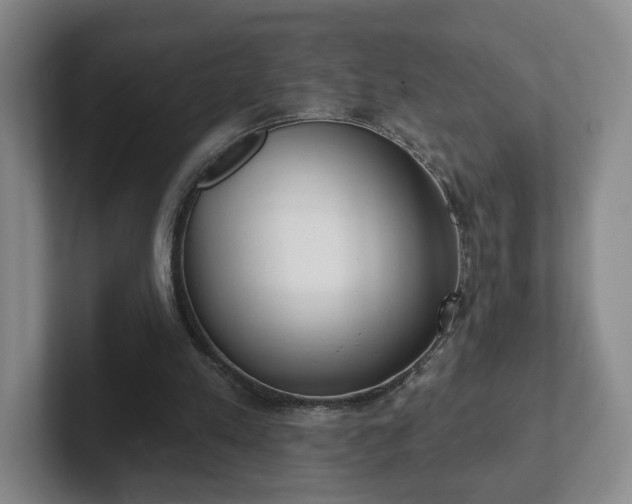 X0000102530197200808151603