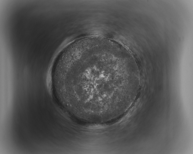 X0000102530198200808151603