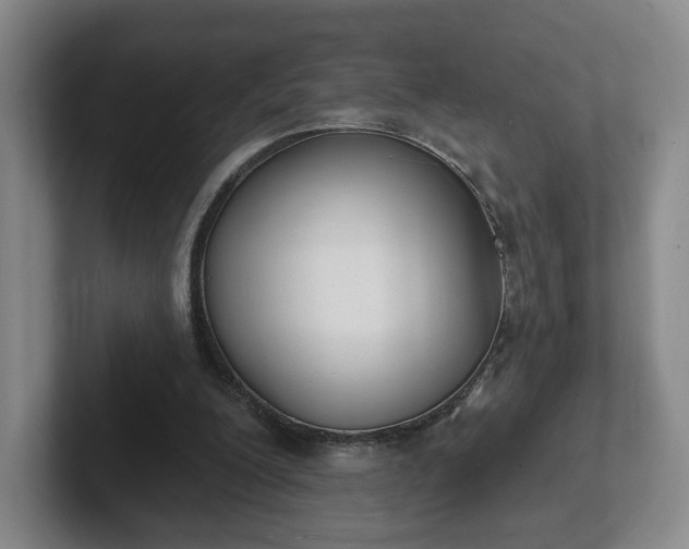 X0000102530200200808151603