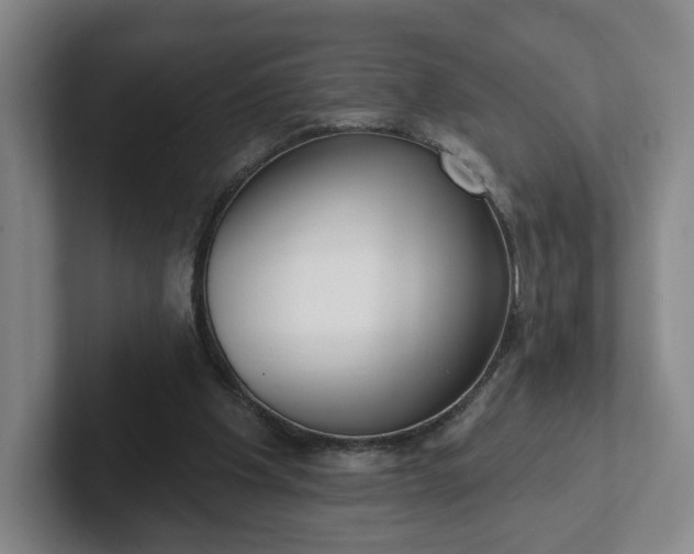 X0000102530201200808151603