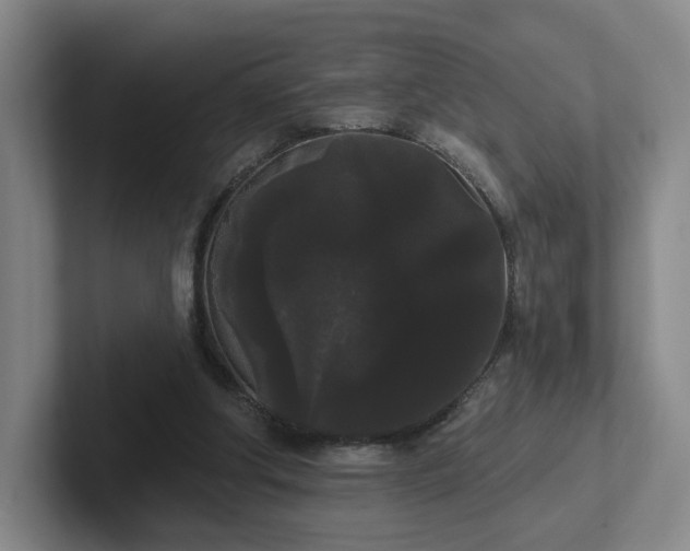 X0000102530202200808151603