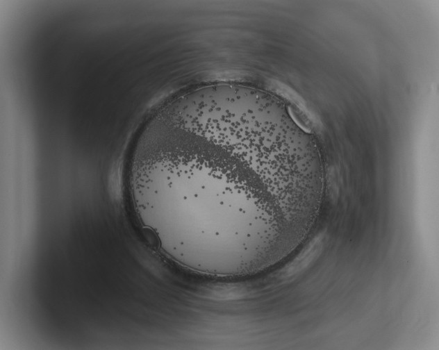 X0000102530203200808151603