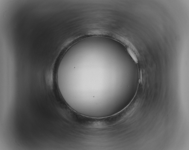 X0000102530204200808151603