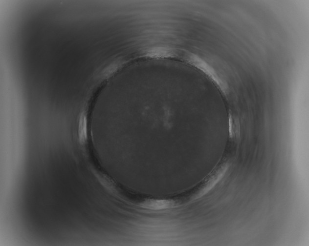 X0000102530205200808151603