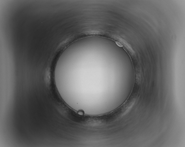 X0000102530207200808151603