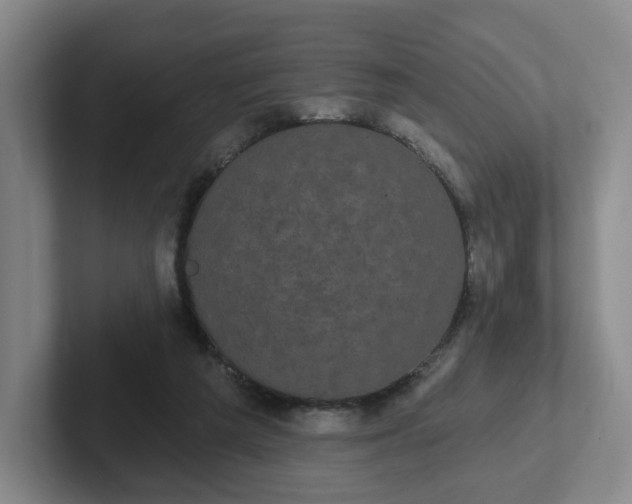 X0000102530209200808151603