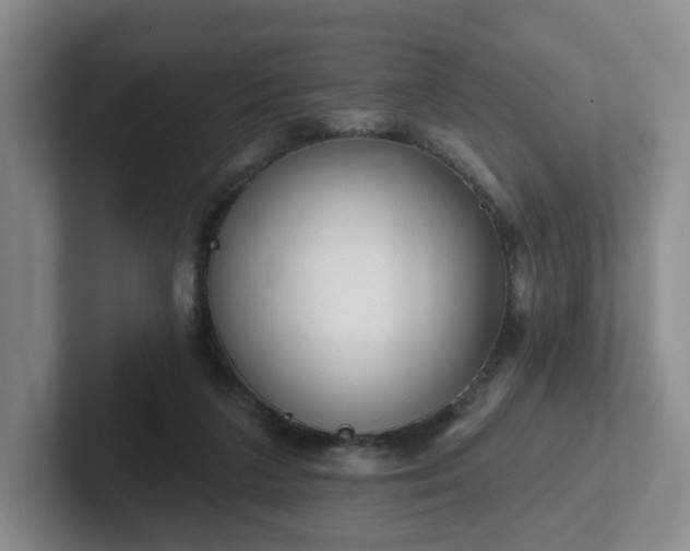 X0000102530211200808151603