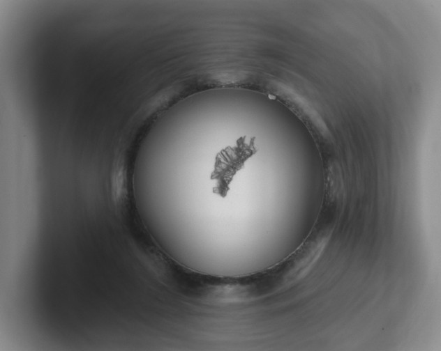 X0000102530212200808151603