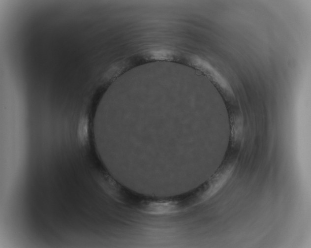 X0000102530213200808151602