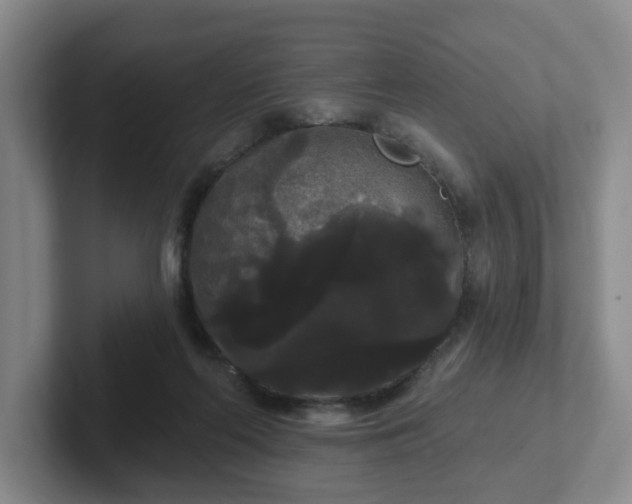 X0000102530214200808151602