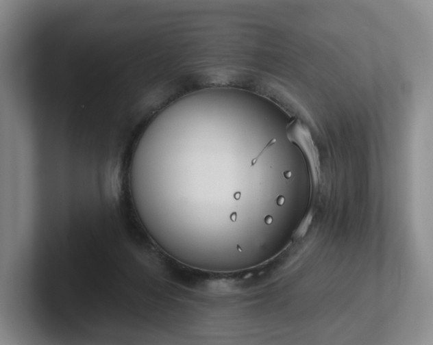 X0000102530216200808151602