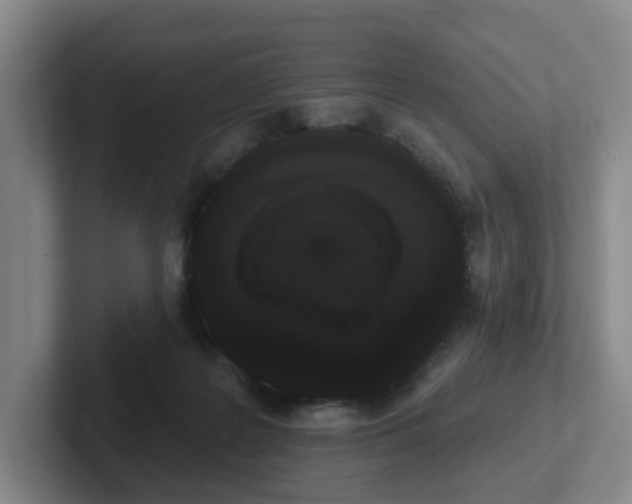 X0000102530219200808151602