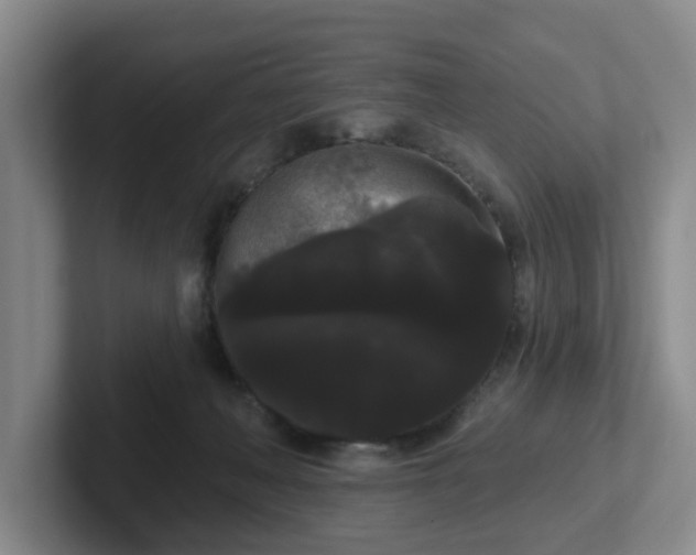 X0000102530222200808151602