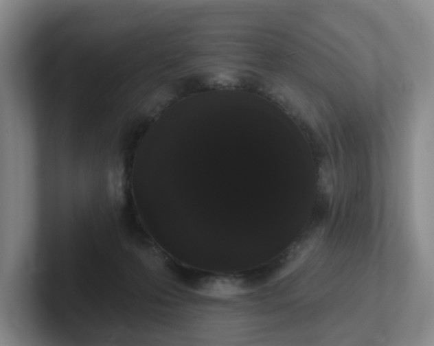 X0000102530223200808151602