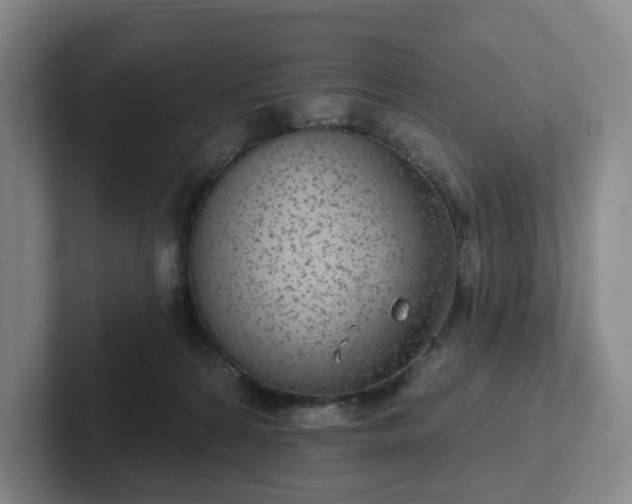 X0000102530224200808151602