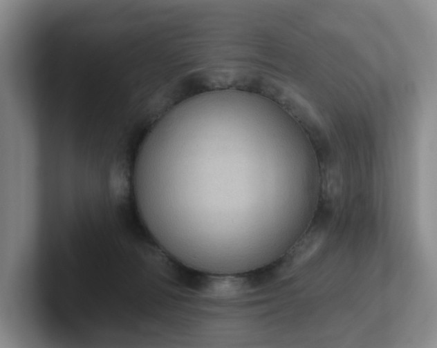 X0000102530226200808151602