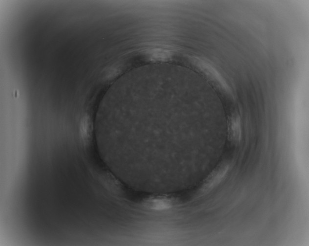 X0000102530228200808151602