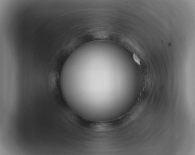 X0000102530229200808151602