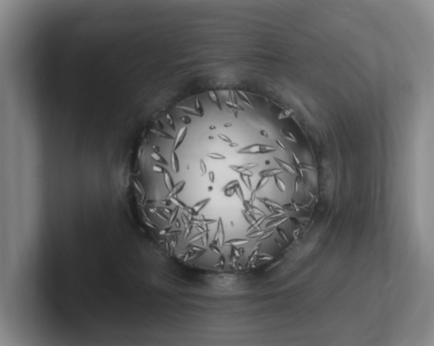 X0000102530230200808151602