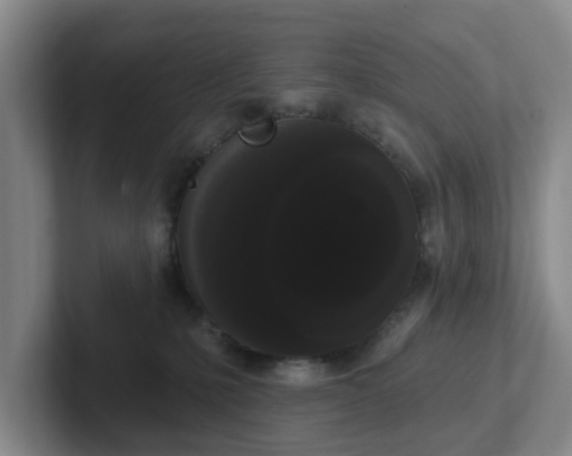 X0000102530231200808151602